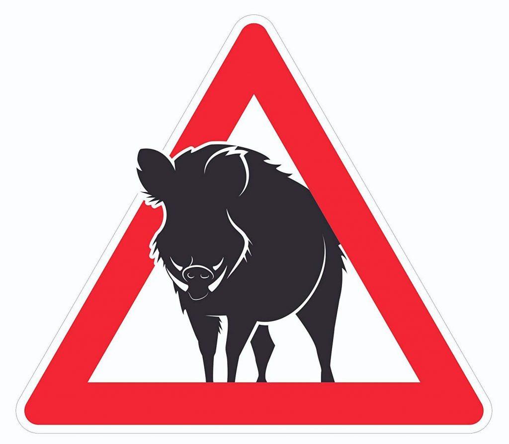 Schild Treibjagd