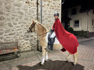 St. Martin Brauchtum in Drees